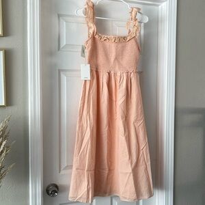 Aritzia Reminisce Dress